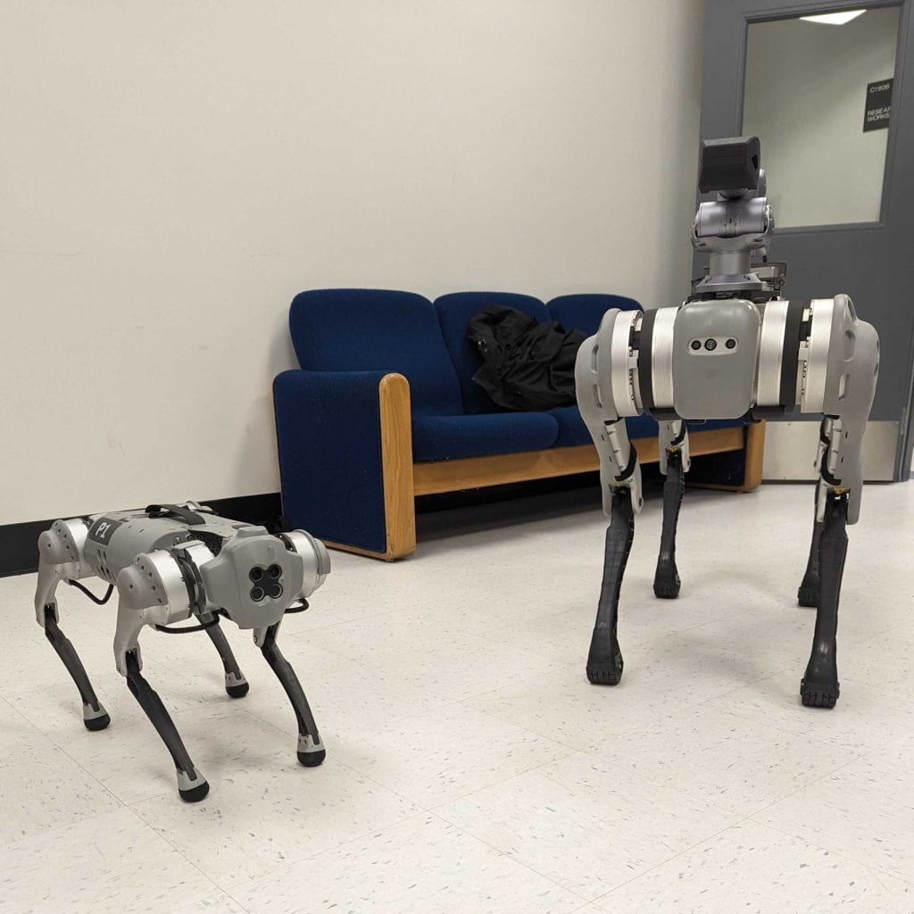 Unitree's Go1 robot dog (left) standing alongside HARE's B1 robot dog "Comedy" (right)